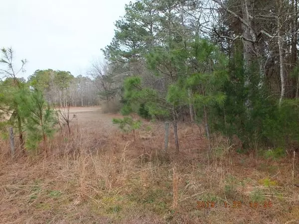 Wendell, NC 27591,0 Poppys Pond Path