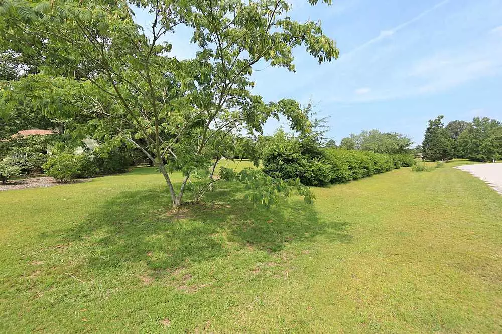 Garner, NC 27529,Lot 54 Peak Drive