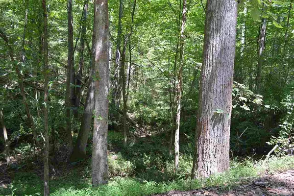 Pittsboro, NC 27312,Lot 63 Wolf Hollow Lane