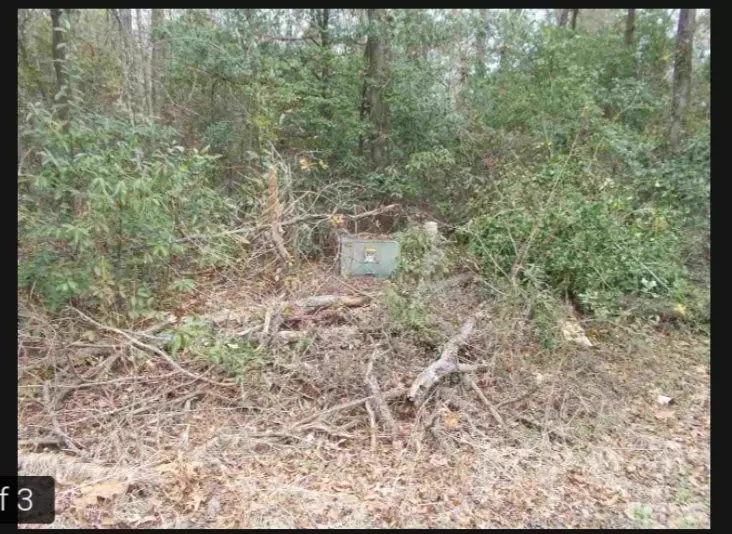 Kenansville, NC 28349,166 Deer Hound Drive