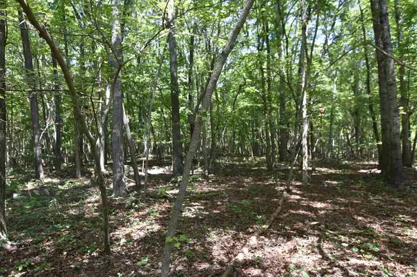 Rougemont, NC 27572,Lot 9 Crabtree Glenn Road