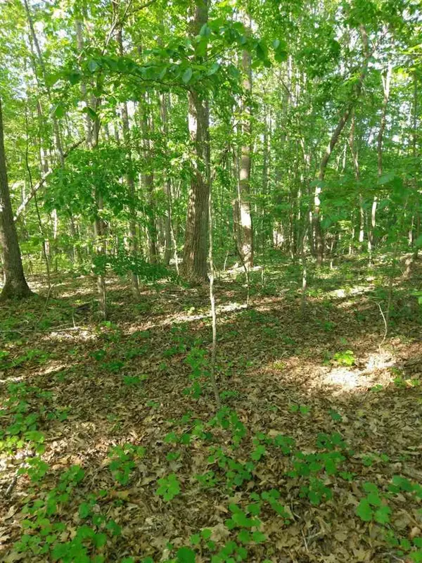 Rougemont, NC 27572,Lot 19 Acorn Court