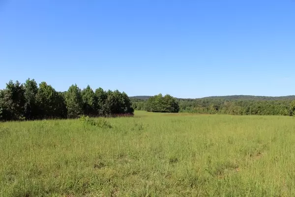 2387 Red Mountain Road, Rougemont, NC 27572
