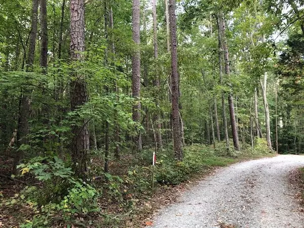 Efland, NC 27243,Lot 6 Preservation Forest Lane