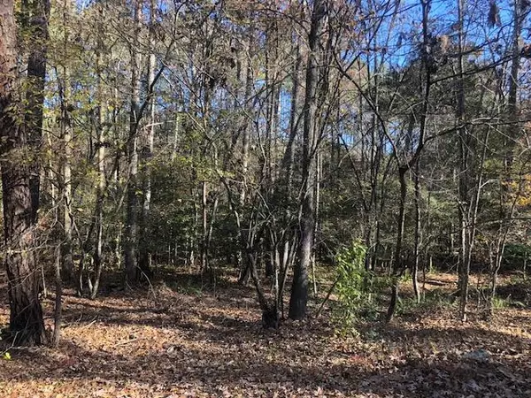 272 Mill Stone Road, Moncure, NC 27559