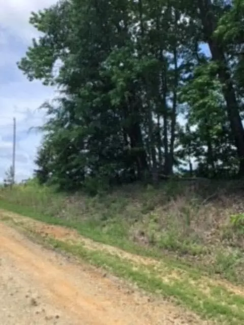 0 Carter Hill Trail, Hurdle Mills, NC 27541