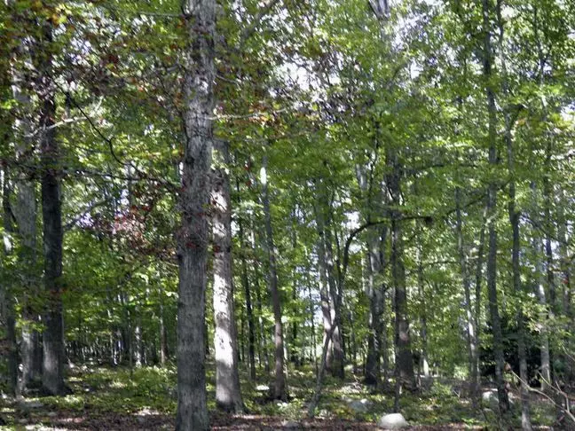 Chapel Hill, NC 27312,435 Hickory Pond Road
