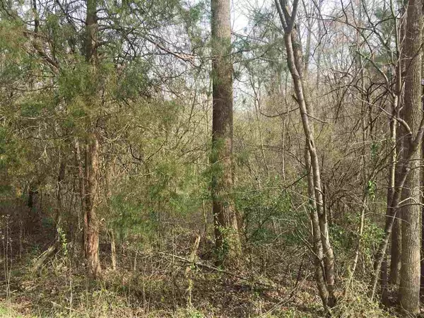 0 Phillips Chapel Road, Haw River, NC 27258