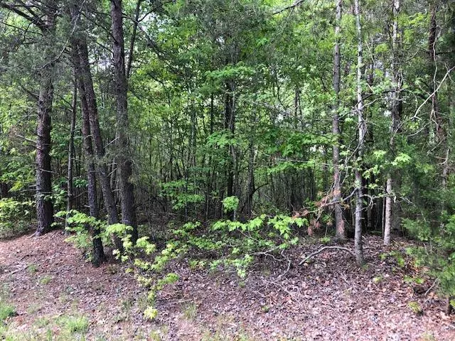 Efland, NC 27243,2 High Rock Road