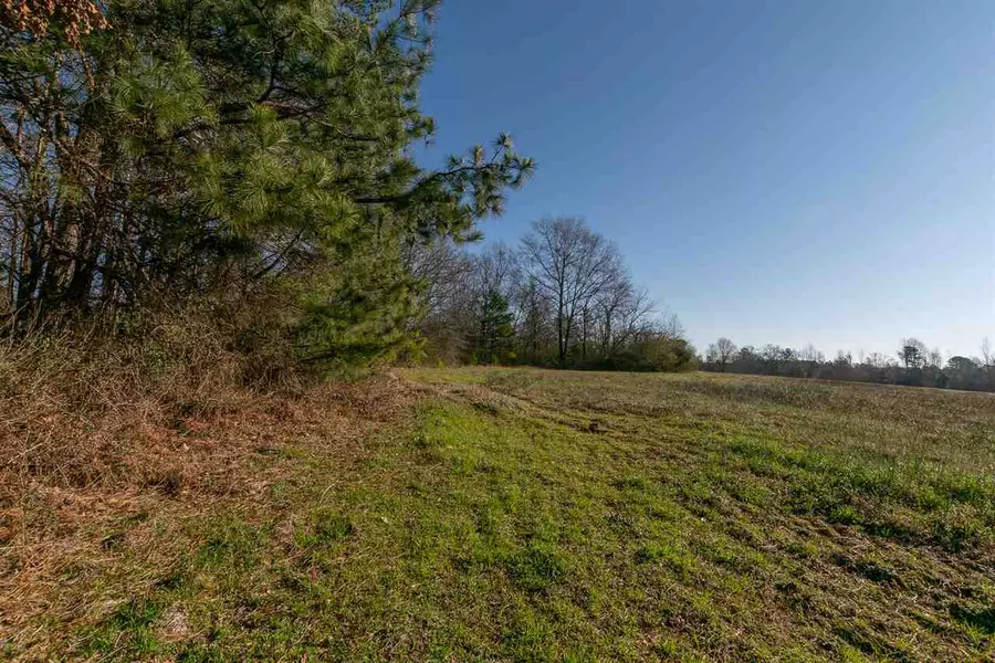 Lot 4 Wilkins Street, Spring Hope, NC 27882