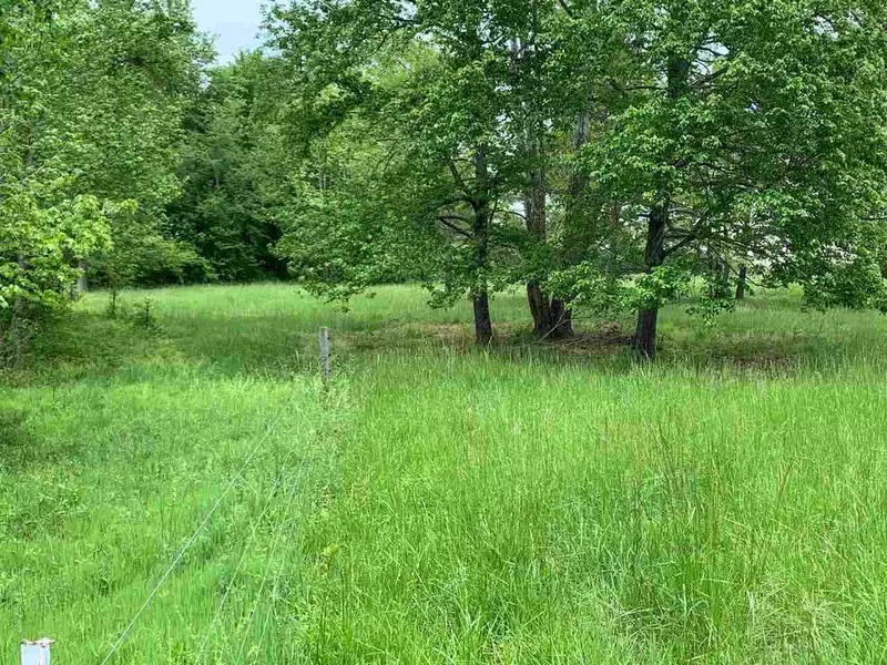 Lot 1 County Home Road, Blanch, NC 27212