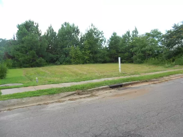 Lot 13 Solo Drive, Siler City, NC 27344