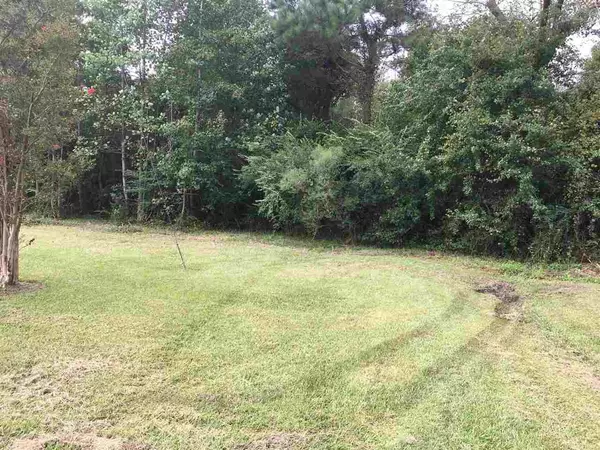 lot 13 Carroll Byrd Lane, Dunn, NC 28334