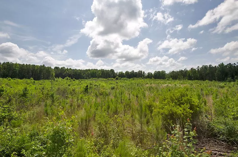 Hollister, NC 27844,1 Hamlet Road