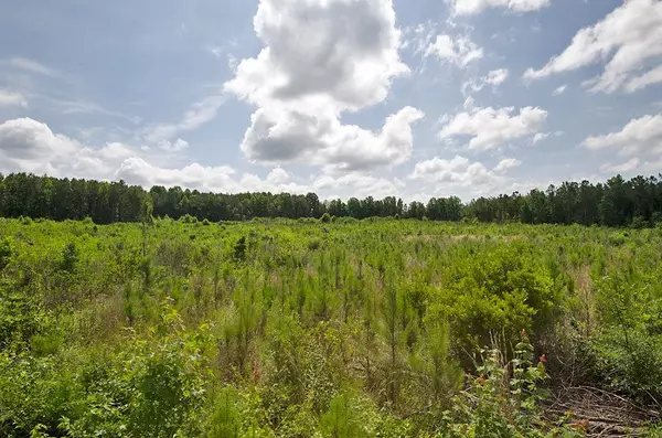 1 Hamlet Road, Hollister, NC 27844