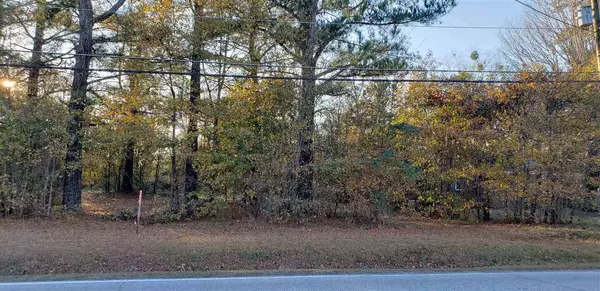 Lot 2 N Lincoln Street, Benson, NC 27504