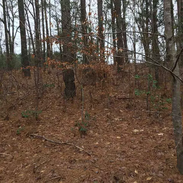 Lillington, NC 27546,Lot # 1 Joe Collins Road