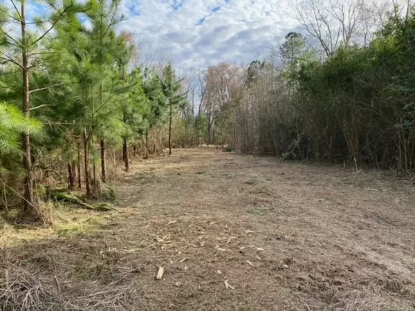 6.87 Acre NC 231 Highway, Middlesex, NC 27557