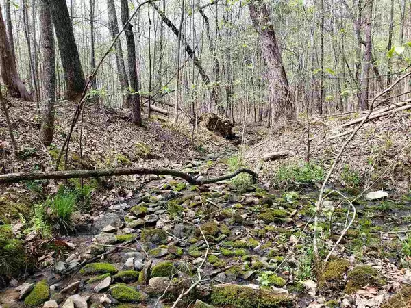 4871 Buckhorn Road, Efland, NC 27243