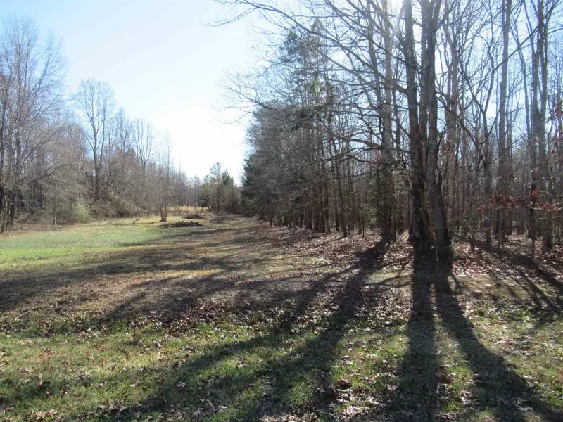 Lot 16 Maple Springs Lane, Bear Creek, NC 27207