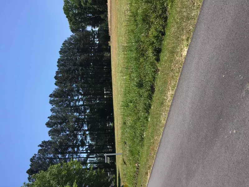 LOT 1 Pearl Street, Roseboro, NC 28382