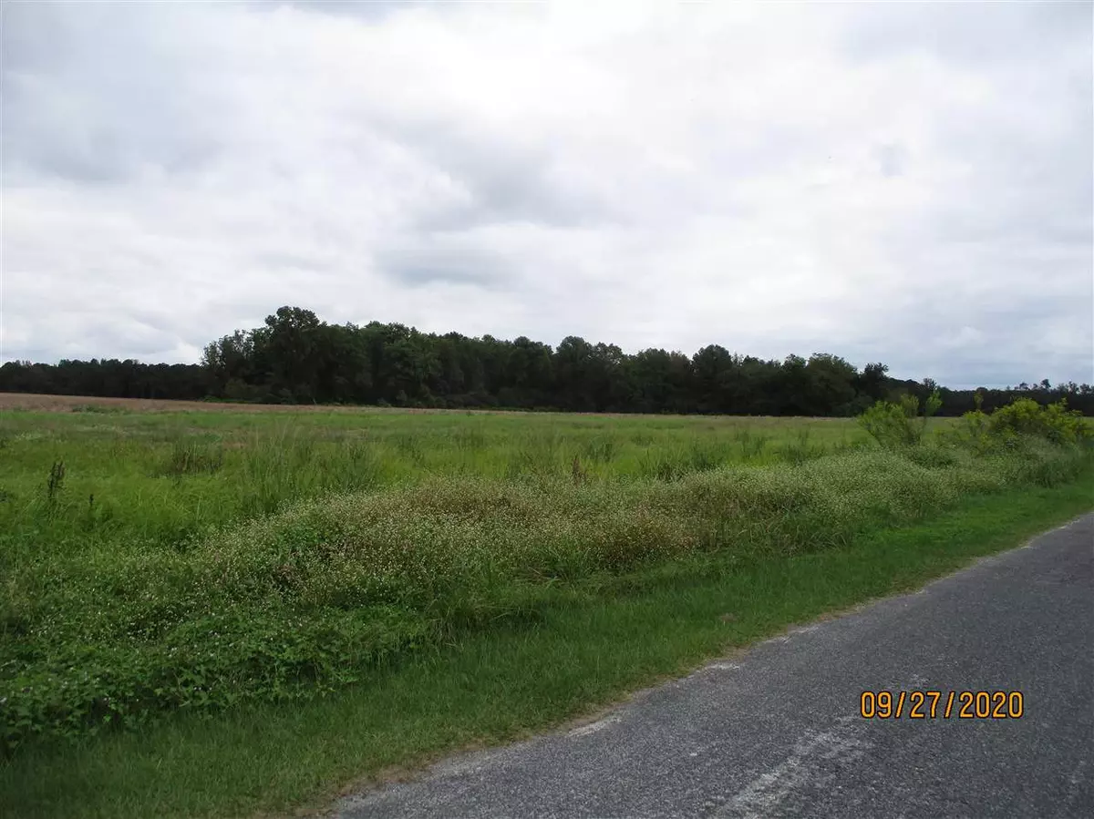 Clinton, NC 28328,Lot 1 Basstown Road