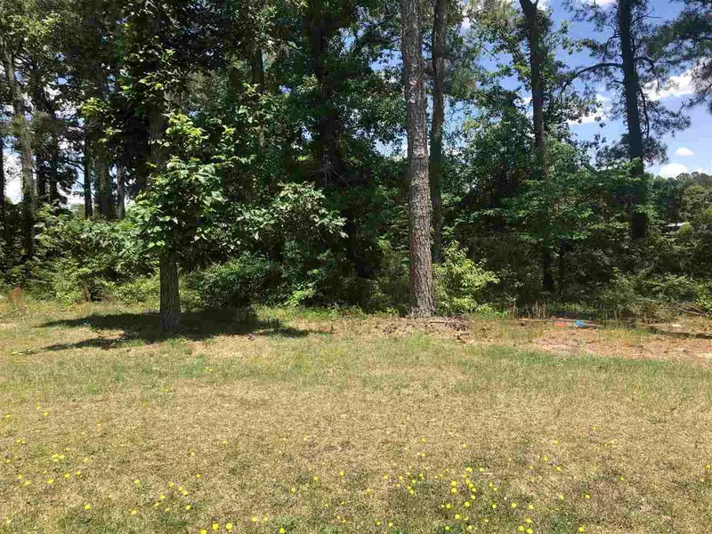 Lot 43 Sampson Acres Drive, Clinton, NC 28328