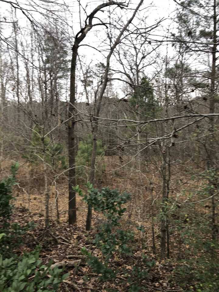 536 Lizzie Hill, Sanford, NC 27332