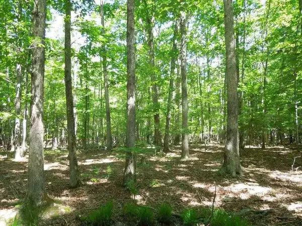 TBD Moores Mill Road, Rougemont, NC 27572