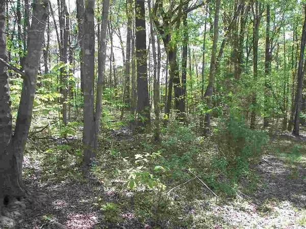 TBD New Sharon Church Road, Rougemont, NC 27572
