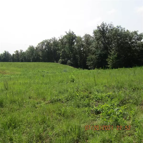 Lot 2 Mert McManus Road, Bear Creek, NC 27207