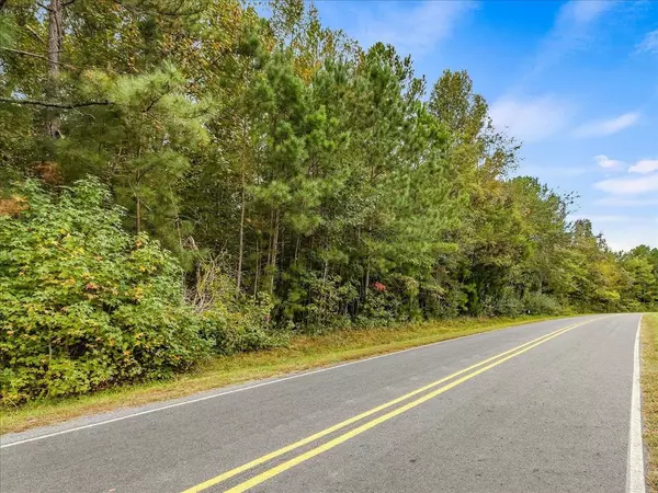 Chapel Hill, NC 27516,Lot 29 Millikan Road