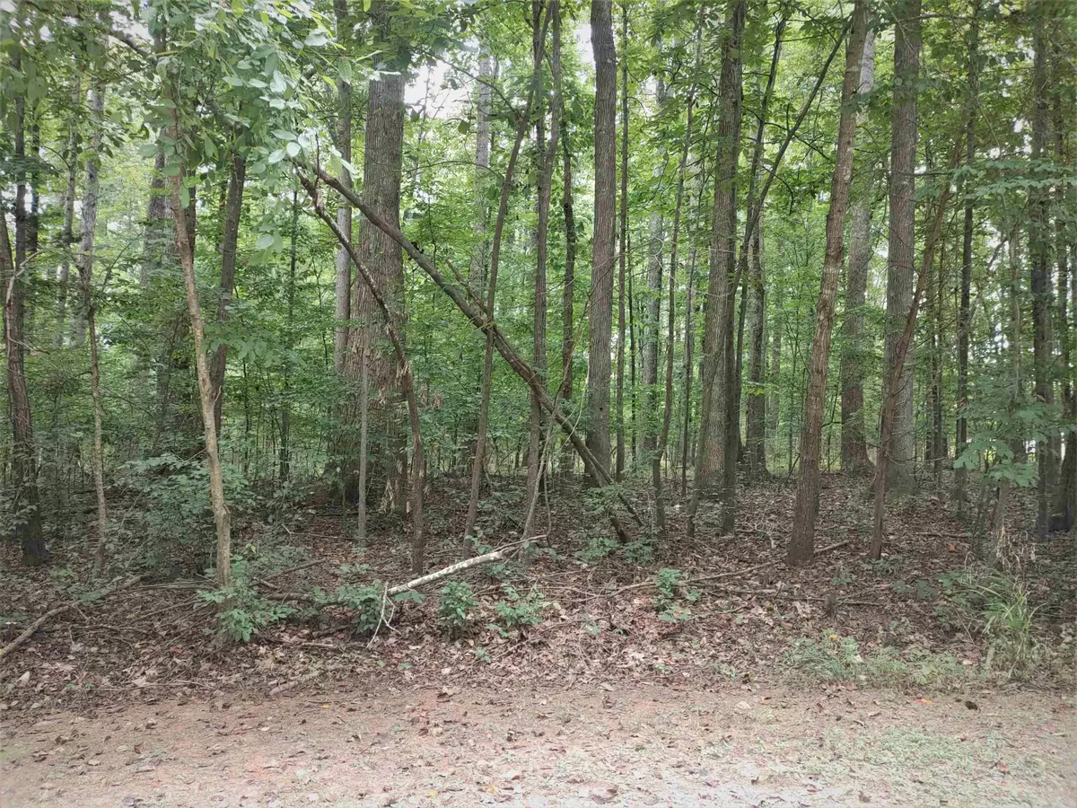 Hillsborough, NC 27278,Lot 4 Vann To Be Added Lane