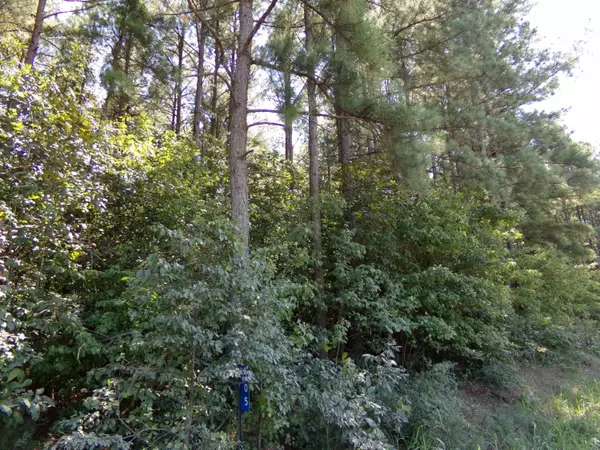 505 Lucian Hilliard Road, Goldston, NC 27252