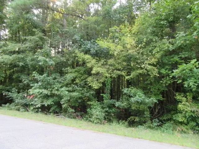 Henderson, NC 27537,Lot 19 Dabney Woods Lane