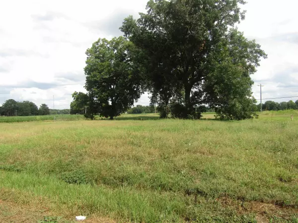 Lot 4 N Vance Street, Fremont, NC 27830