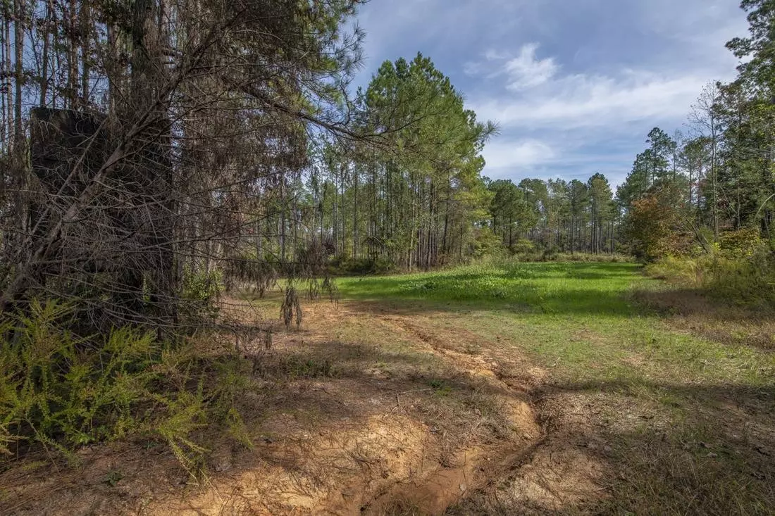 Denton, NC 27205,00 Oak Grove Church Road