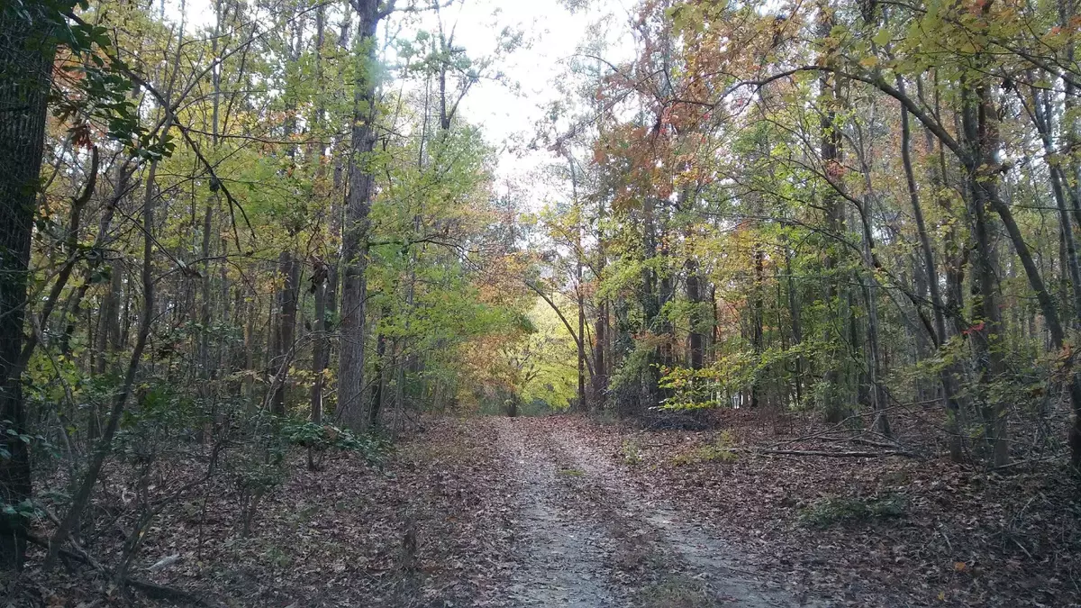Wake Forest, NC 27587,2201 Averette Road