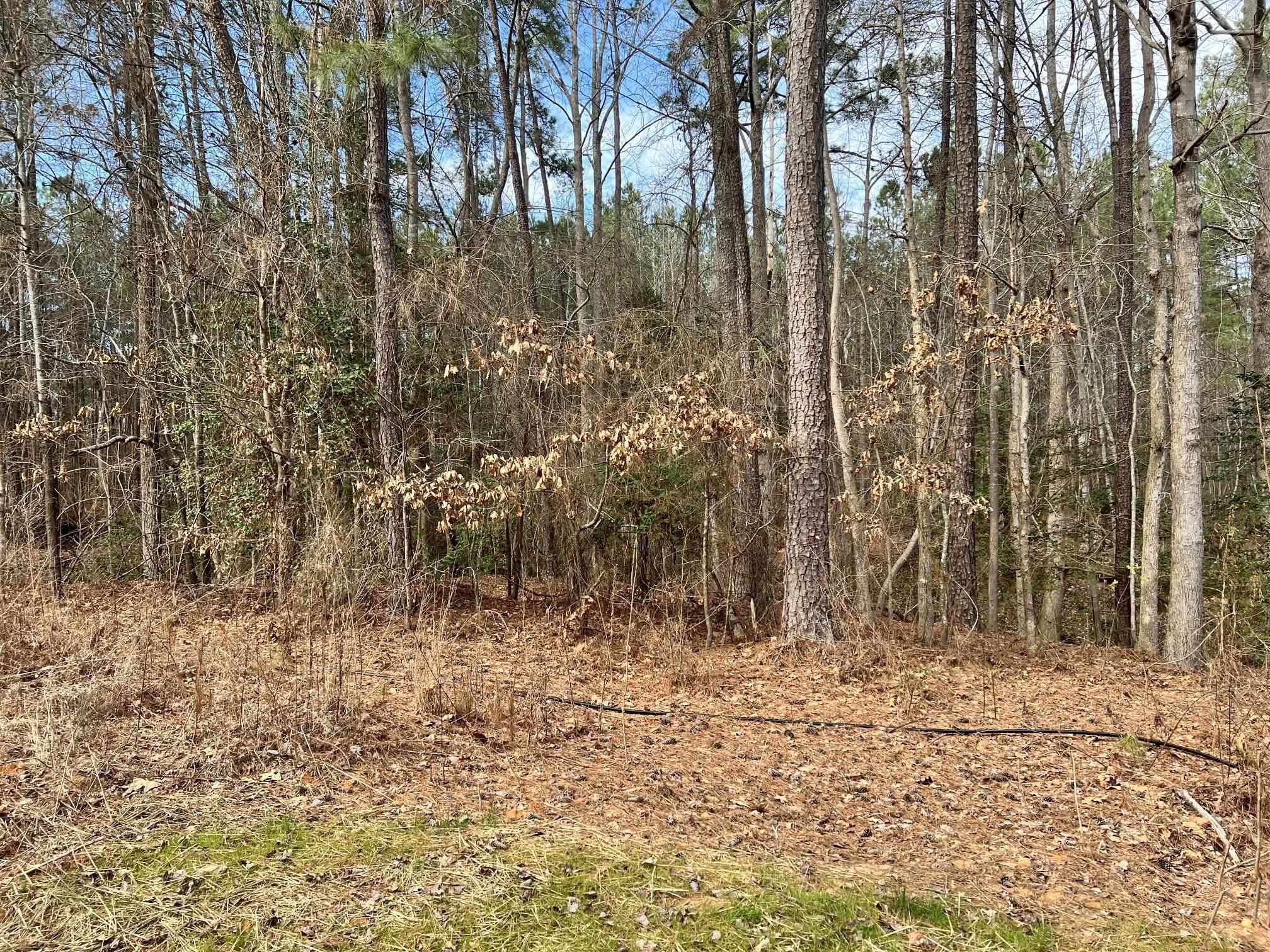9112 Old Cascade Drive, Garner, NC 27529