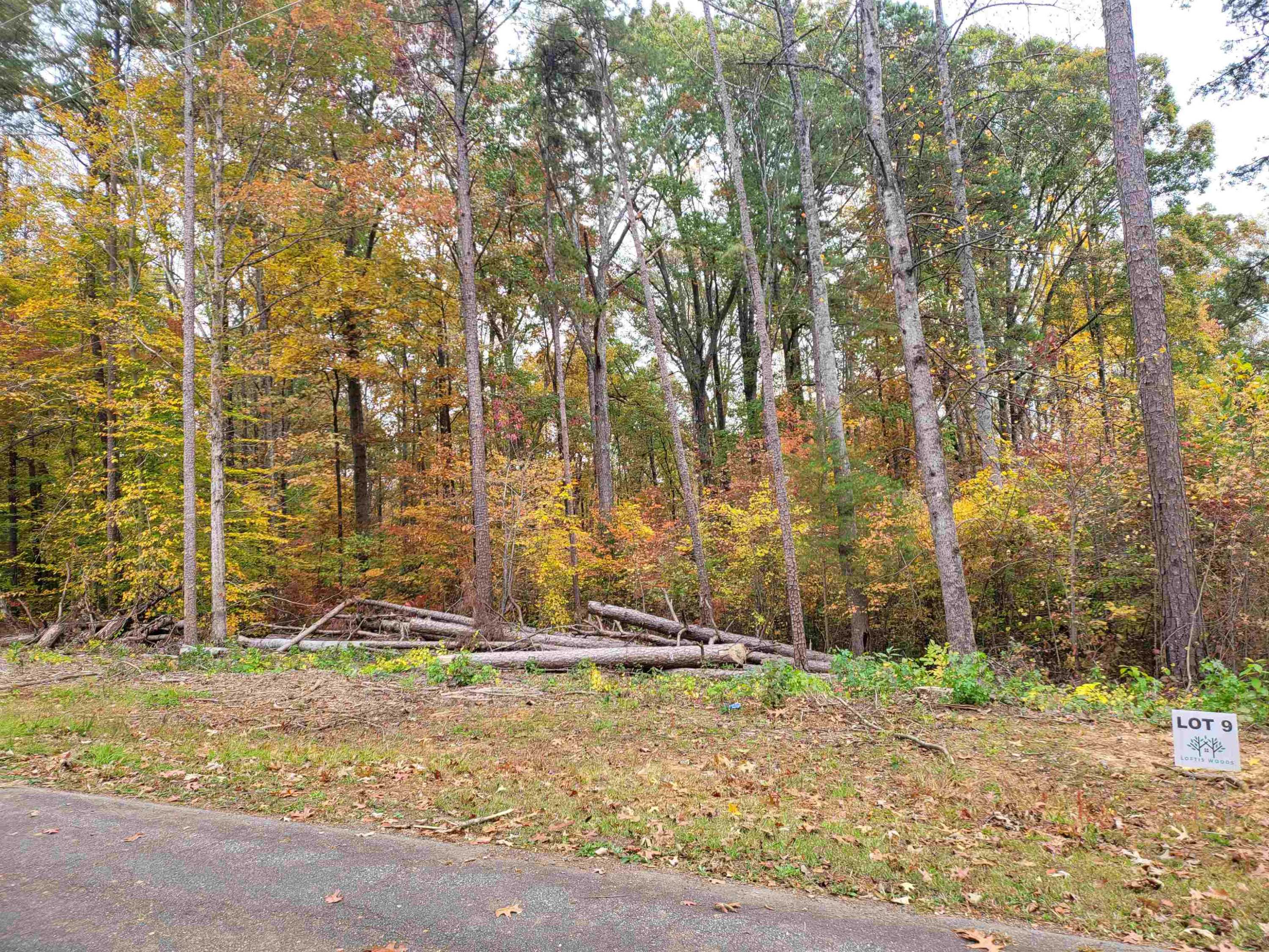 Lot 9 Loftis Loop Road,  Roxboro,  NC 27574