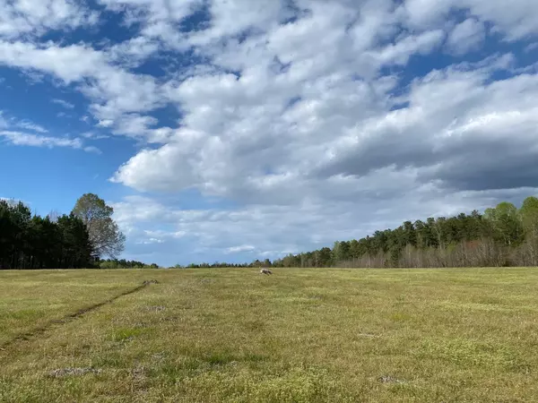 Hurdle Mills, NC 27541,2822 Little River Church Road