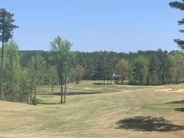 Pittsboro, NC 27312,908 Golfers View