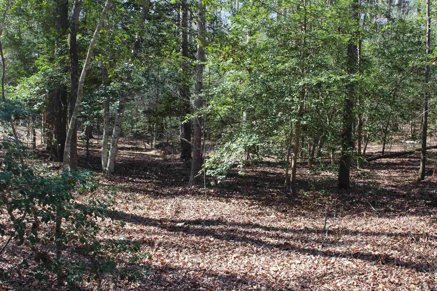 1136 Deerfoot Trail, Sanford, NC 27332