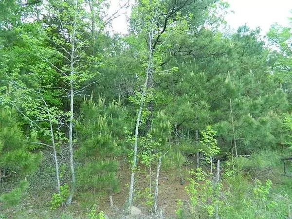 25 Screech Owl, Moncure, NC 27559