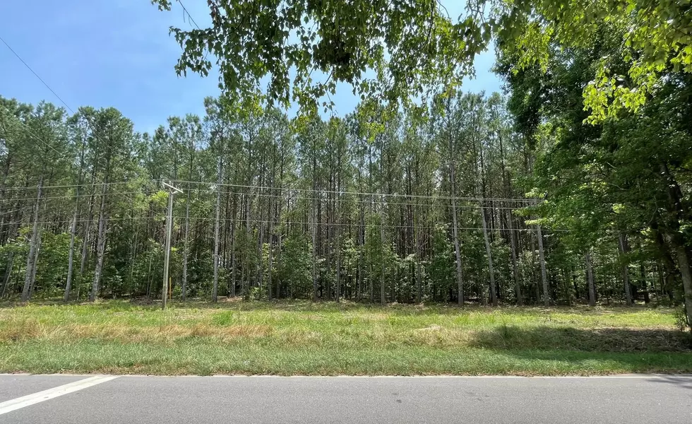 Lot 2 Dogeye Road, Benson, NC 27504