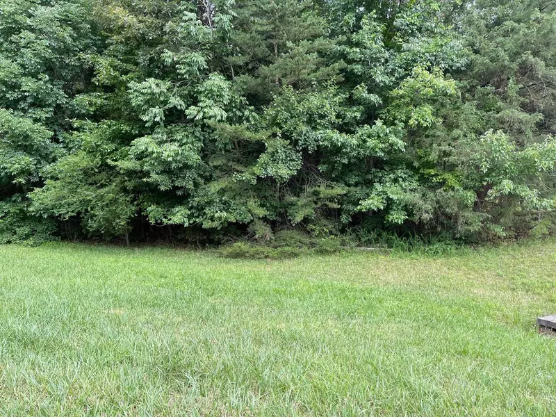 Lot 44 Elk River Court, Mebane, NC 27302