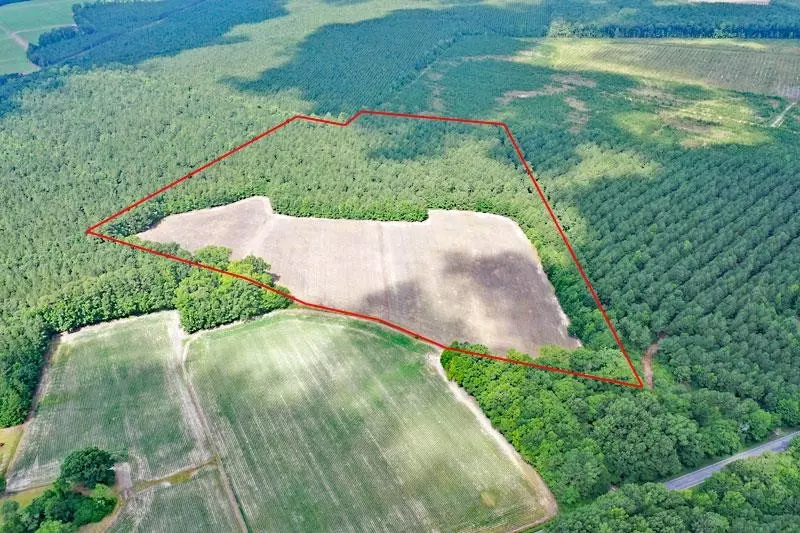 Rich Square, NC 27869,4701 NC 305 Highway