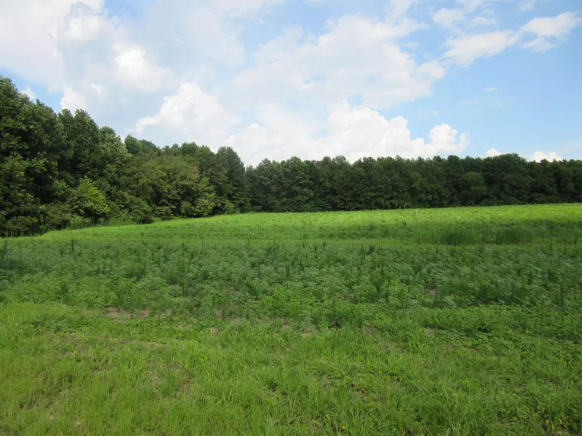 Spring Hope, NC 27882,Lot 1 NC 231 Highway