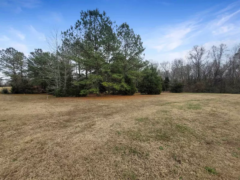 0 Ricks Road, Louisburg, NC 27549