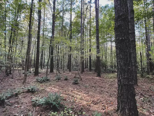 Creedmoor, NC 27522,54 Acres Walters Road